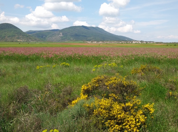 2018-05-18-Arres-Artieda48