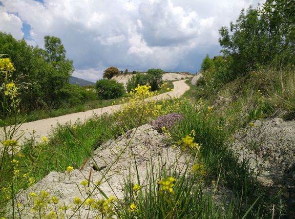 2018-05-18-Arres-Artieda58