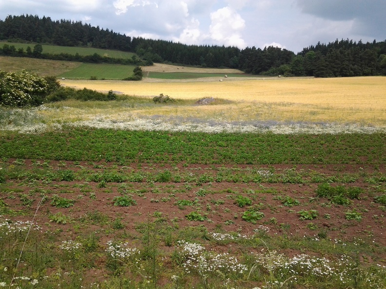 2013-07-17-19-marche.jpg