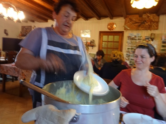 2013-08-08--Aumont-Figuyerolles18 (Gentianes)