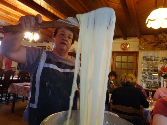 2013-08-08--Aumont-Figuyerolles19 (Gentianes)
