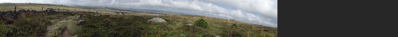 2013-08-09--Gentianes-Nasbinals10