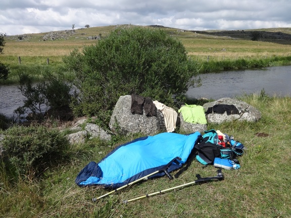 2013-08-09--Gentianes-Nasbinals16