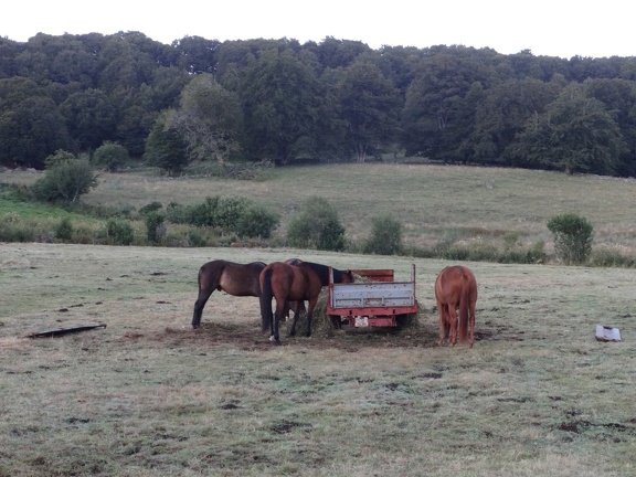 2013-08-10-Nasbinals-St Chely03