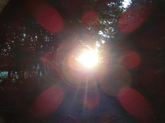 2013-08-10-Nasbinals-St Chely06