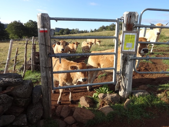 2013-08-10-Nasbinals-St Chely12
