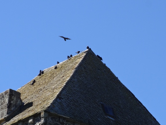 2013-08-10-Nasbinals-St Chely38
