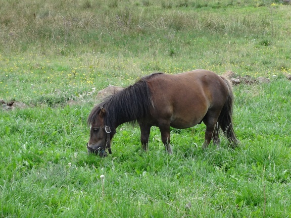 2013-08-10-Nasbinals-St Chely51