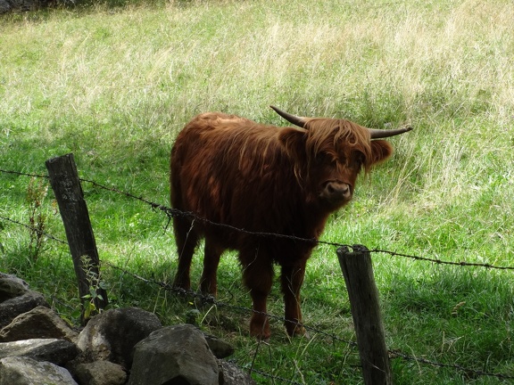 2013-08-10-Nasbinals-St Chely63