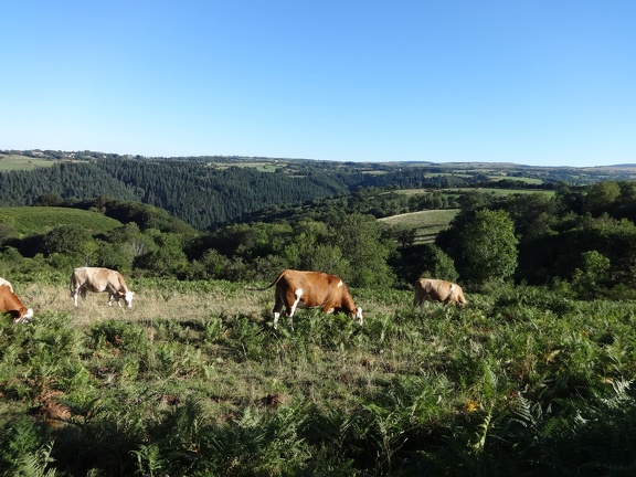 2013-08-21-St-Chély-St-Côme05