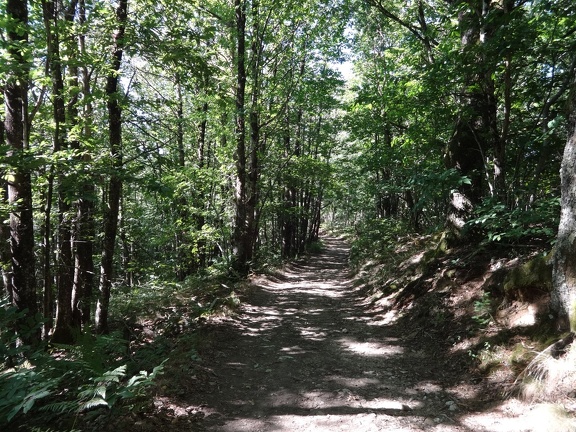 2013-08-21-St-Chély-St-Côme07