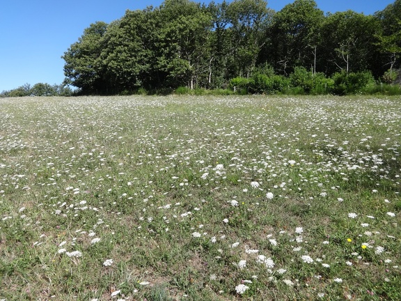2013-08-21-St-Chély-St-Côme08