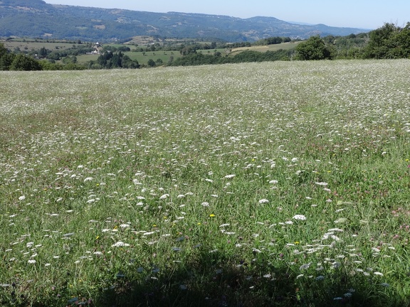 2013-08-21-St-Chély-St-Côme09