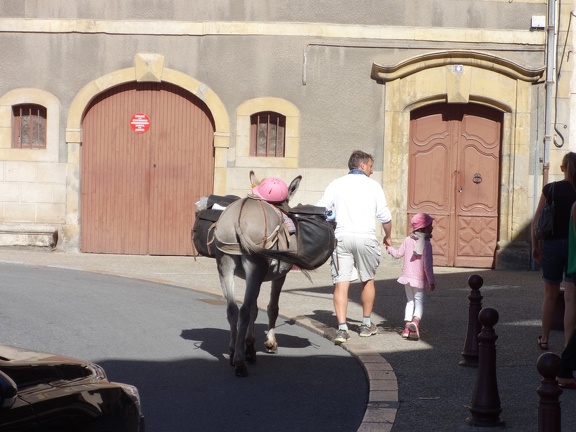 2013-08-22-St-Côme-Estaing20