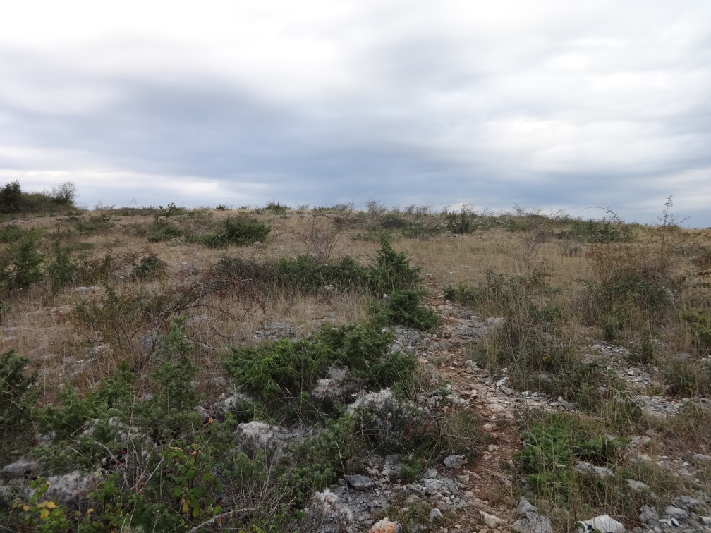 2013-09-06-Gréalou-Cajarc19