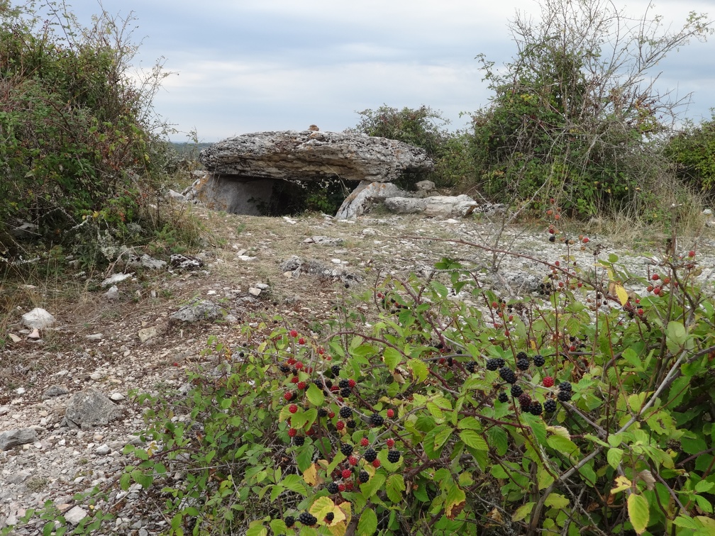 2013-09-06-Gréalou-Cajarc21