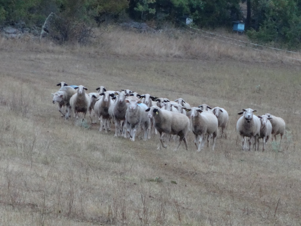 2013-09-07-Cajarc-Vaylats03