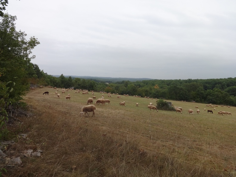 2013-09-07-Cajarc-Vaylats09.JPG