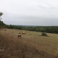 2013-09-07-Cajarc-Vaylats09