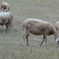 2013-09-07-Cajarc-Vaylats11