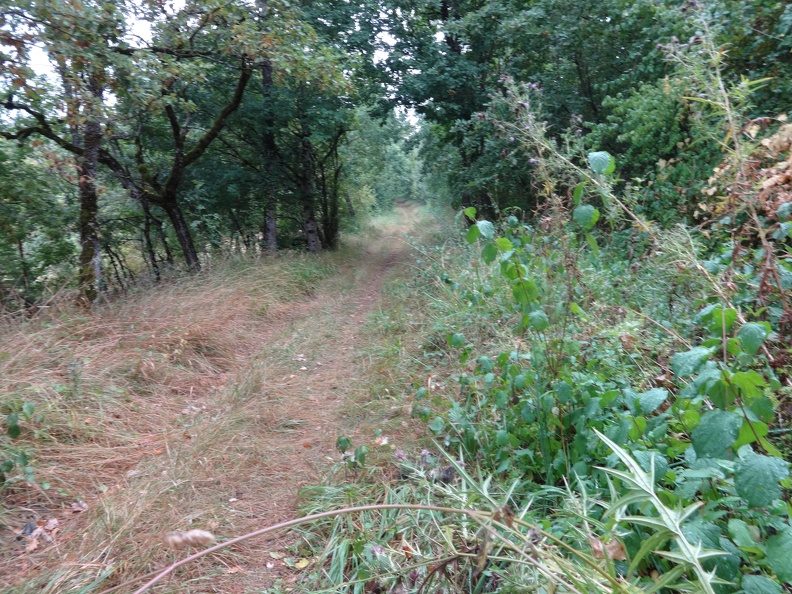 2013-09-07-Cajarc-Vaylats28.JPG