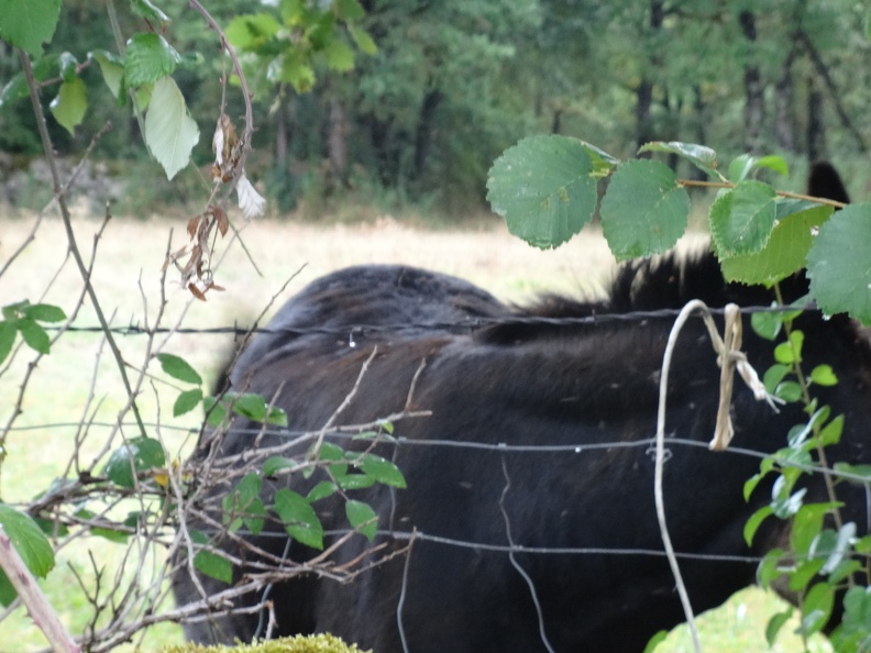 2013-09-07-Cajarc-Vaylats30.JPG