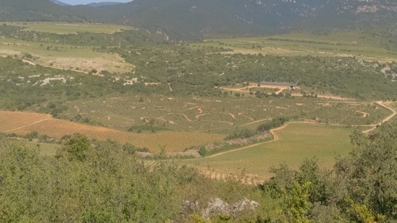 2016-05-18-StGuilhem-StJean dlB14