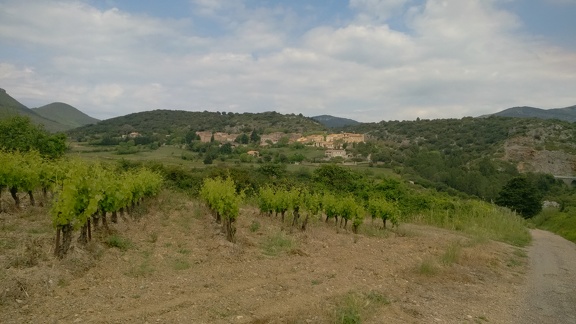 2016-05-18-StGuilhem-StJean dlB17