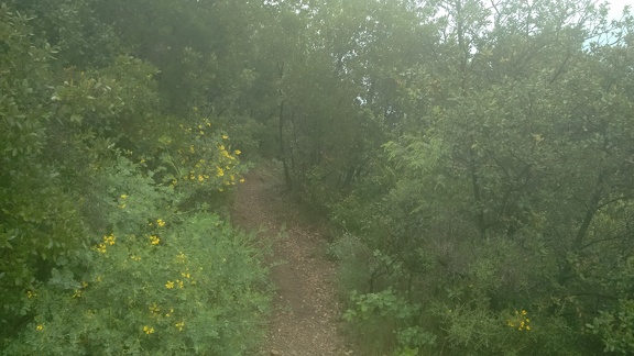 2016-05-18-StGuilhem-StJean dlB20