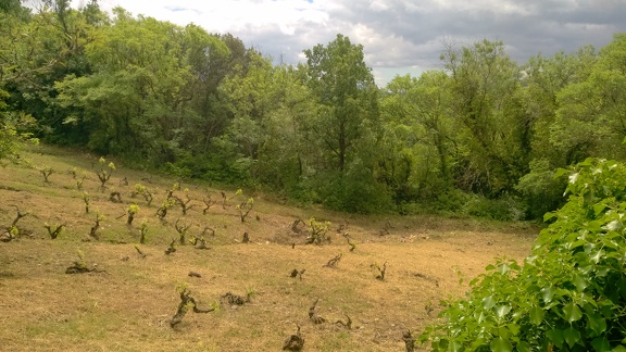 2016-05-19-StJean dlB-Lodève10