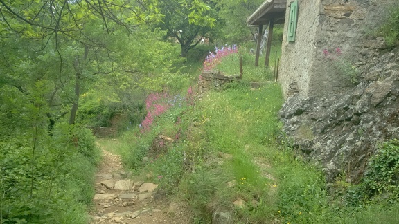 2016-05-19-StJean dlB-Lodève20