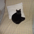 2013-09-10-Cahors18