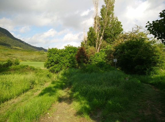 2018-05-24-Monreal-Tiebas07