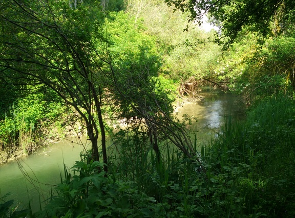 2018-05-24-Monreal-Tiebas10