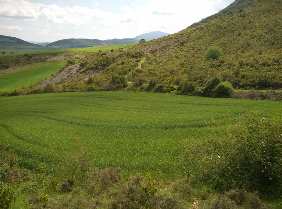 2018-05-24-Monreal-Tiebas25
