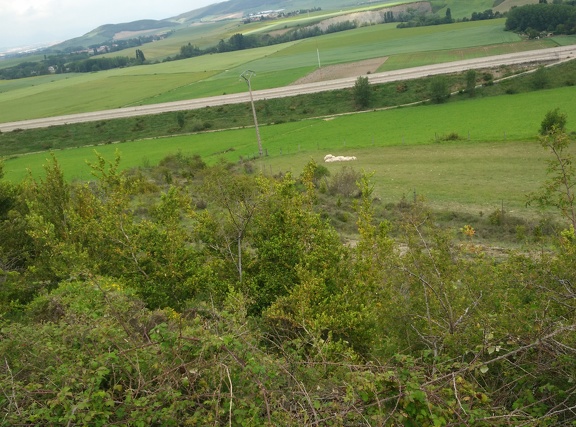 2018-05-24-Monreal-Tiebas28