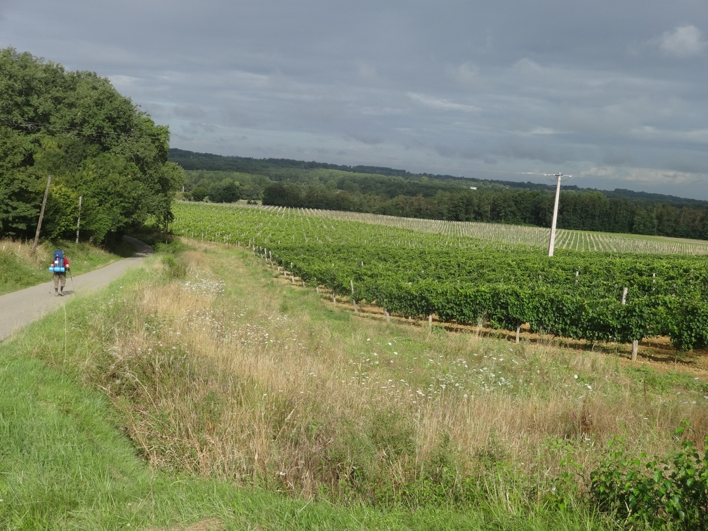 2014-08-14 (Lamothe-Eauze)-02