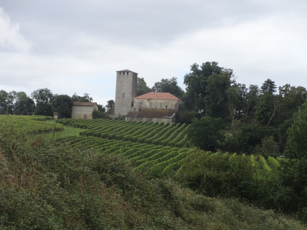 2014-08-14 (Lamothe-Eauze)-03