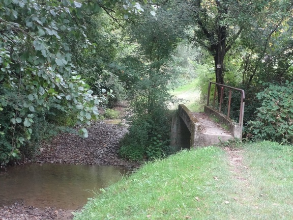 2014-08-19 (pelouse-Arzacq)-00