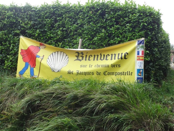 2014-08-19 (pelouse-Arzacq)-01
