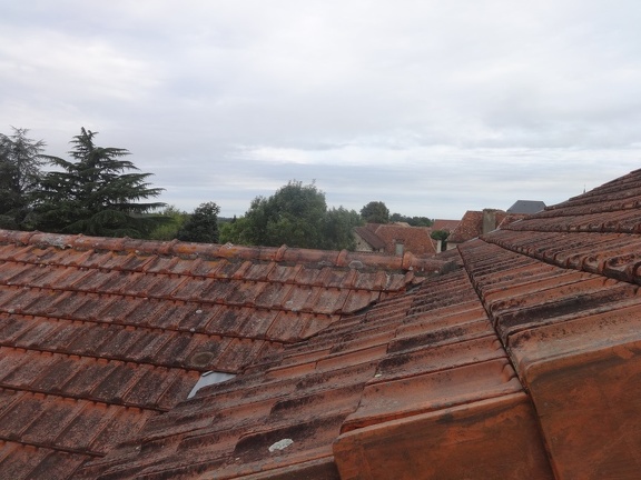 2014-08-19 (pelouse-Arzacq)-09