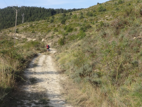 2014-08-31 (Zabalnika-Pamplona)-10