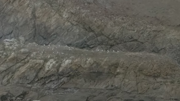 2016-09-09-Pointe du Van34