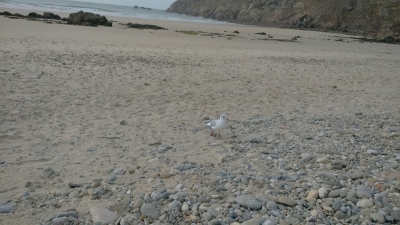 2016-09-09-Pointe du Van39
