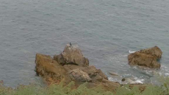 2016-09-10-Trépassés-Pors Peron09