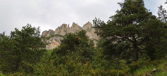 2020-06-03-Menée-Archiane-10