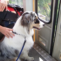 Glacier-Meije (plusieurs fois)