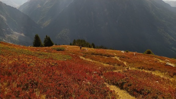 2022-08-25-Habert-Rivier-10 0