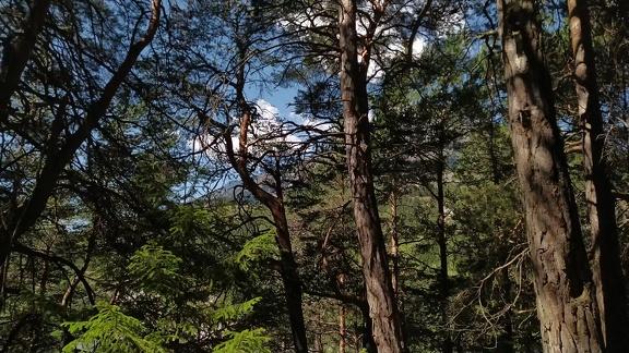2022-09-01-Modane-Bramans-9