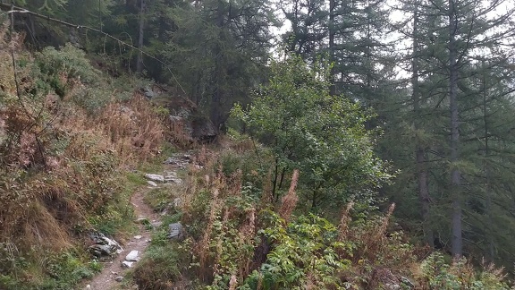 2022-09-03-Suffet-MontCenis-03 0